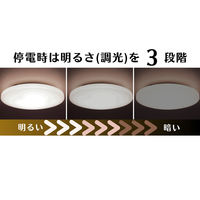 日本防災スキーム 防災用シーリングライト 天照(アマテラス)tsuita TC102 1個（直送品）