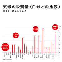 寝かせ玄米ごはん　もち麦ブレンド160g 12個 結わえる パックご飯