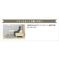 光製作所 HK-ロティ 1台（直送品）