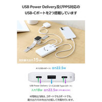 モバイルバッテリー 10000mAh ストラップ型ケーブル付 小型 電池残量表示 しろちゃん EC-C45WF エレコム 1個（直送品）