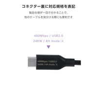 電力表示液晶搭載 USB Type-C 延長ケーブル 1m PD240W対応 ブラック MPA-CCWE10BK エレコム 1個（直送品）