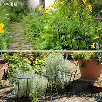 住まいスタイル アイアン製植物サポーター幅18 16本セット IF-N0050-16P 1セット(16本入)（直送品）