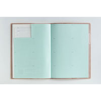 高橋書店 【2026年4月版】ディアクレールラプロ2 A5 月間 月曜始まり キャラメル 627 1冊（直送品）