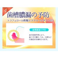 薬用Pearl White Pro Shine 40g ベルガモット＆ミント 美白 美健コーポレーション