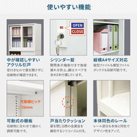 Netforce イーセンブリー 引戸書庫 2台セット 2段 シリンダー錠 幅880mm アクリル スチール ブラック 1セット（2台入）（直送品）