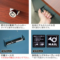 住まいスタイル 「horn/ホルン」 宅配機能付き 収納ベンチ DB-003BLK 1台（直送品）