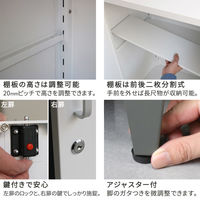 住まいスタイル スチール収納庫 「LUXON(ルクソン)」 ST-002BLU 1台（直送品）