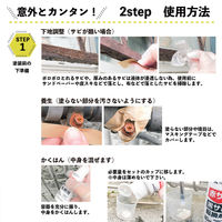 カンペハピオ サビ転換剤 50ML #00517660202050 1個（直送品）