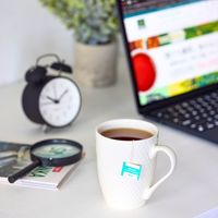 ディルマ CTJ サマーセット茶園（スリランカ・ディンブラ） 1セット(20バッグ入×6) 業務用