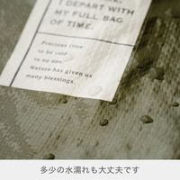 ヘッズ マイチョイスバッグPPクロス/デリシャス-4 20枚(10枚×2) EBR-4B（直送品）