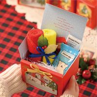 ヘッズ クリスマスベアラーウィンドウギフトボックス-M 50枚(10枚×5) XBR-GBM 1セット(50枚入)（直送品）