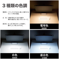 ディスプレイライト LEDライト USB接続/3色光/手動調光・自動調光 DLT10クロ 1個 キングジム