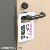 サンワサプライ カラーレーザー用 耐水紙・特厚 LBP-WPF22MDPN 1冊（直送品）