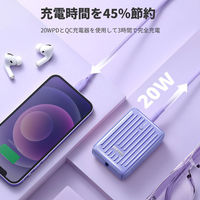 ZENDURE SuperMini パープル ZDSM10PD-PU 1個（直送品）