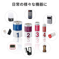アルカリ乾電池 単1形 20本入り 10年保存 長期保存 防災 備蓄 まとめ買い LR20-AD20SBS 1箱(20本入 4本×5)（直送品）