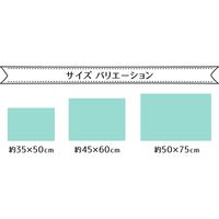 イケヒコ 吸水速乾ミスト バスマット2P 約350×500mm グリーン 3476150 1セット（2枚入）（直送品）
