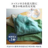 ● ヒオリエ 日本製 ギフトセット ホテルスタイルタオル フェイス2枚+バス1枚 モカ系 タオル 厚手 吸水 無地 泉州タオル プレゼント（直送品）