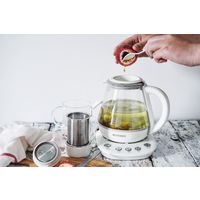 アントレックス BUYDEEM 薬膳ティ-ポット 1.0L 4992831951018 1個