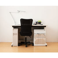 天馬 フィッツワーク 防災用品も入るデスク下引出ケース SL2段 1個