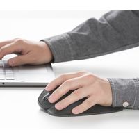 サンワダイレクト エルゴマウス(左利き・疲労軽減・フィンガーフラップ・DPI切替・赤色光学センサー) 400-MA108L 1個（直送品）