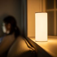 サンワダイレクト LEDライト(ランタン・6段階調整・充電式・タッチパネル・昼白色・電球色・リバーシブル) 800-LED025 1本（直送品）