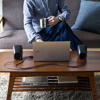 サンワダイレクト PCスピーカー(USB電源・小型・3.5mm接続・高音質・4W) 400-SP067 1個（直送品）