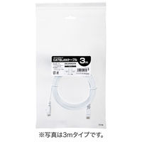 サンワダイレクト Cat6 フラットLANケーブル 0.5m （カテゴリー6・より線・ストレート・ホワイト） 500-LAN6FL005W 1本（直送品）