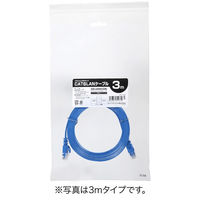 サンワダイレクト Cat6 フラットLANケーブル 1m （カテゴリー6・より線・ストレート・ブルー） 500-LAN6FL01BL 1本（直送品）