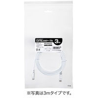 サンワダイレクト Cat6 フラットLANケーブル 2m （カテゴリー6・より線・ストレート・ホワイト） 500-LAN6FL02W 1本（直送品）