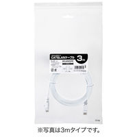 サンワダイレクト Cat6 フラットLANケーブル 5m （カテゴリー6・より線・ストレート・ホワイト） 500-LAN6FL05W 1本（直送品）