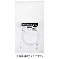 サンワダイレクト Cat6 フラットLANケーブル 10m （カテゴリー6・より線・ストレート・ホワイト） 500-LAN6FL10W 1本（直送品）