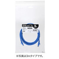 サンワダイレクト Cat6 スリムLANケーブル 1m （カテゴリー6・より線・ストレート・ブルー） 500-LAN6SL01BL 1本（直送品）