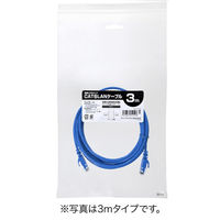 サンワダイレクト Cat6 スリムLANケーブル 10m (カテゴリー6・より線・ストレート・ブルー) 500-LAN6SL10BL 1本（直送品）