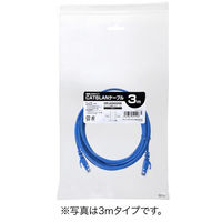 サンワダイレクト Cat6 スリムLANケーブル 2m （カテゴリー6・より線・ストレート・ブルー） 500-LAN6SL02BL 1本（直送品）