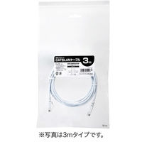 サンワダイレクト Cat6 スリムLANケーブル 10m （カテゴリー6・より線・ストレート・ホワイト） 500-LAN6SL10W 1本（直送品）