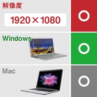 エレコム Type-C映像変換アダプタ/TypeC-DVI/ブラック AD-CDVIBK 1個 6