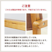 Netforce 介護椅子 フルール 完成品 ファブリック×グレー FLR-2-S2-AW 1セット（2脚入）（直送品）