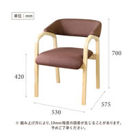 【要組立品】Netforce ネットフォース 介護椅子 カミーナ 組立品 ファブリック×グレー 2脚セット（直送品）