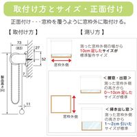 【幅1cm単位】プロ仕様ロールスクリーン幅175cm×高161～200cm＜チェーン式＞ tr4441-175x200-r160 トーソー（直送品）