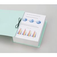 ライオン事務器 保存ファイル　　　　ＳＦー５３　水 12625 1冊