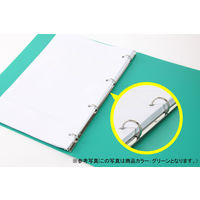 ライオン事務器 リングファイル RFー43S(LB) 12263 1冊
