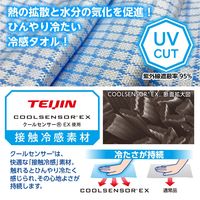 アイスノン 極冷えタオル 白元アース ブルー 1枚 冷感タオル ひんやりグッズ 繰り返し 水で濡らす