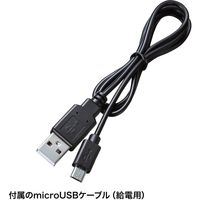 サンワサプライ HDMI切替器 3入力・1出力 4K HDR HDCP2.2対応 SW-HDR31L 1個（直送品）