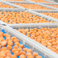 【ロハコ・アスクル限定】紀州 石神の梅干 白干梅 完熟南高梅 香醸栽培 1セット（1個×24）濱田 オリジナル ご飯のお供 梅ぼし オリジナル