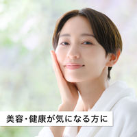 伊藤園 ザクロミックス エコパック (紙パック) 200ml 1箱（24本入）