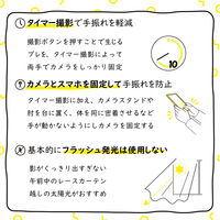 エレコム 撮影用背景シート/COLOR/A3/6枚入 DGA-BPA303 1セット(6枚入)