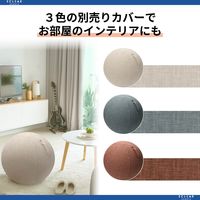 エレコム バランスボール/65cm/グレー HCF-BB65GY 1個（直送品）