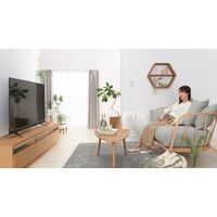 アイリスオーヤマ 液晶テレビ 55インチ 55UB28VC 4K 有線LAN 直下型LEDバックライト（直送品）