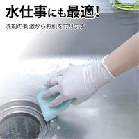 竹虎　タケトラ ニトリル手袋　パウダーフリー　ホワイト　SSサイズ　075811　1箱（200枚入）（使い捨てグローブ）