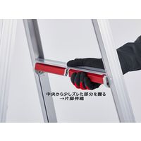 長谷川工業 はしご兼用 伸縮脚立 ニューラビット RYH-21a（直送品）